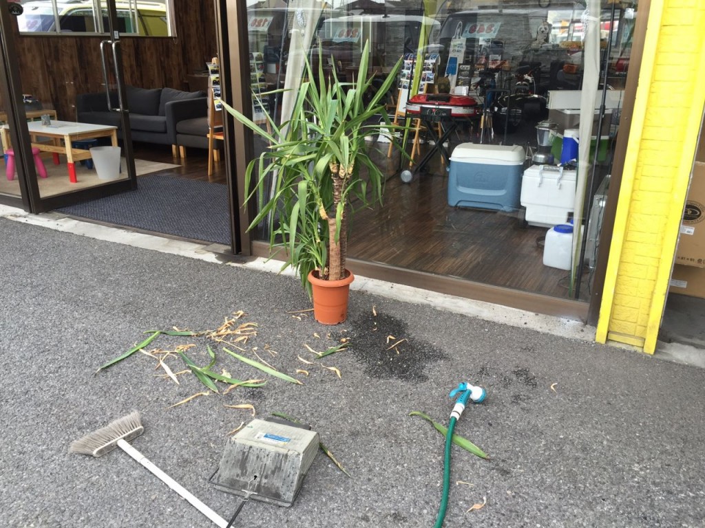 さいたま北店　看板娘　散髪